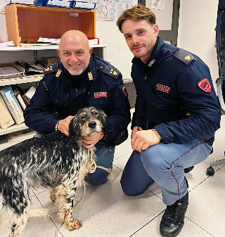 Macerata - Cane vagava in strada terrorizzato dai botti, la Polizia lo salva